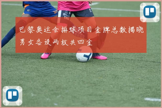 巴黎奥运会排球项目金牌总数揭晓男女各设两枚共四金