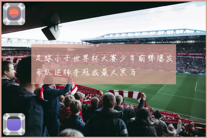 足球小子世界杯大赛少年前锋爆发率队逆转夺冠成最大黑马