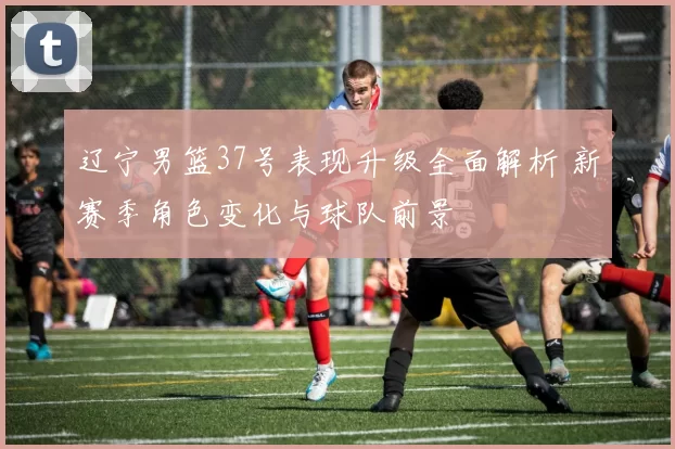 辽宁男篮37号表现升级全面解析 新赛季角色变化与球队前景