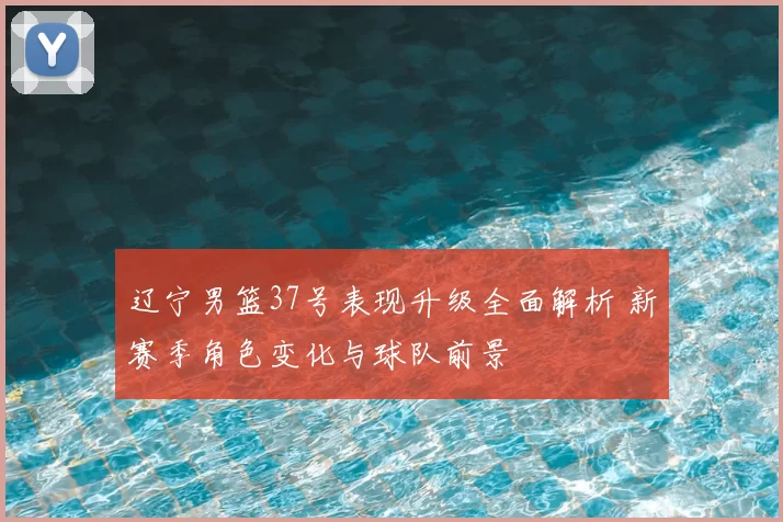 辽宁男篮37号表现升级全面解析 新赛季角色变化与球队前景