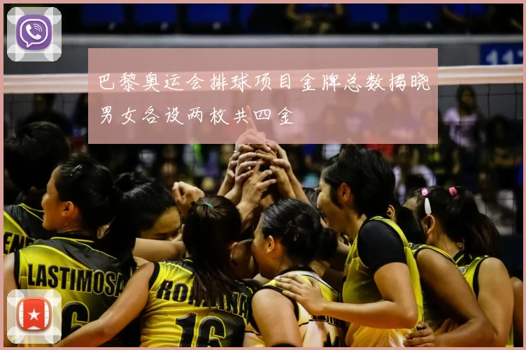 巴黎奥运会排球项目金牌总数揭晓男女各设两枚共四金